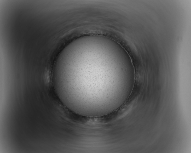 X0000096731490200802191538