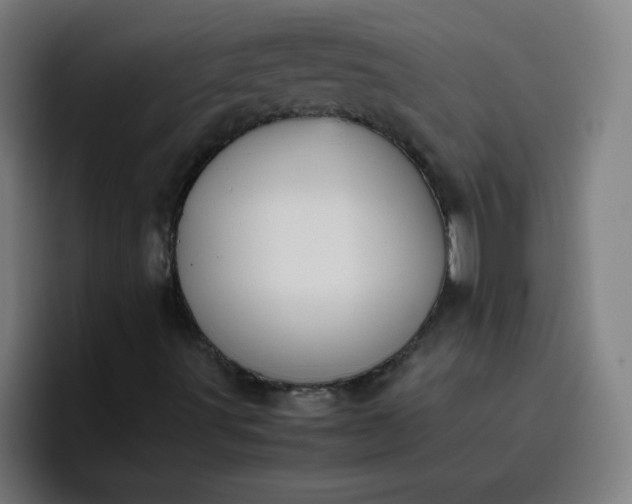 X0000096731491200802191538