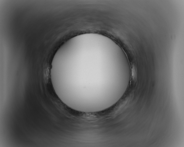 X0000096731492200802191538