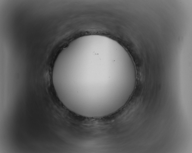 X0000096731493200802191538