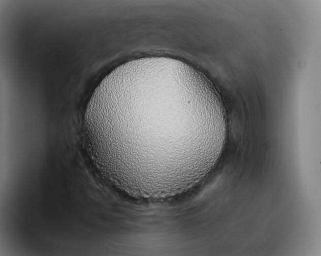 X0000096731494200802191538