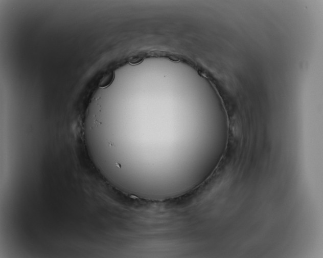 X0000096731495200802191538
