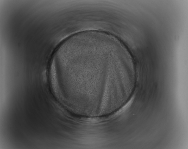 X0000096731497200802191538
