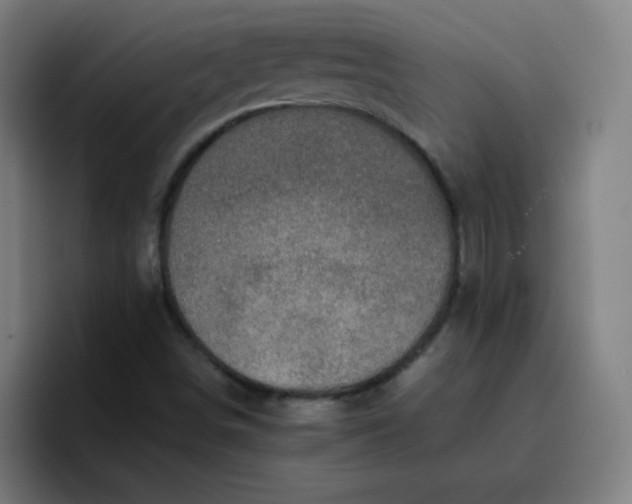 X0000096731498200802191538