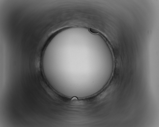 X0000096731499200802191538