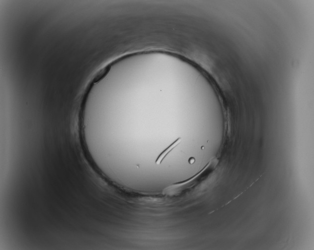 X0000096731500200802191538
