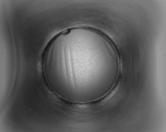 X0000096731501200802191538