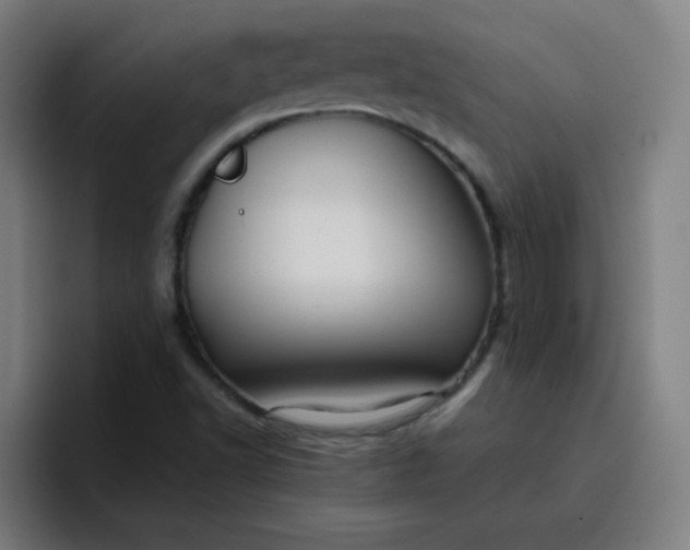 X0000096731502200802191538