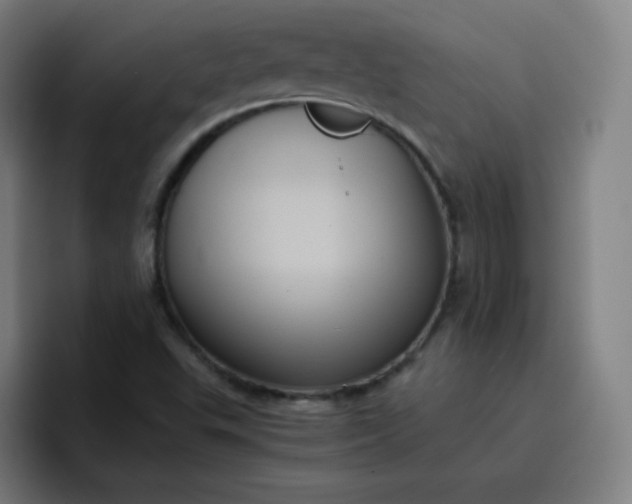 X0000096731503200802191538