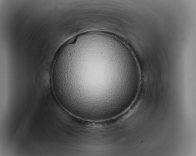 X0000096731505200802191538