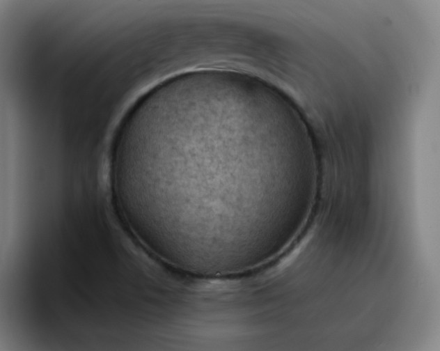 X0000096731506200802191538