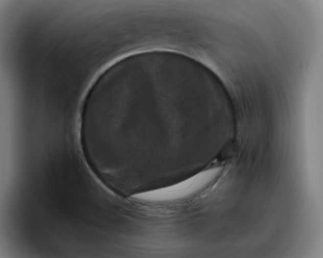 X0000096731508200802191538