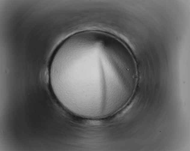 X0000096731509200802191538