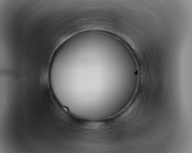 X0000096731513200802191538