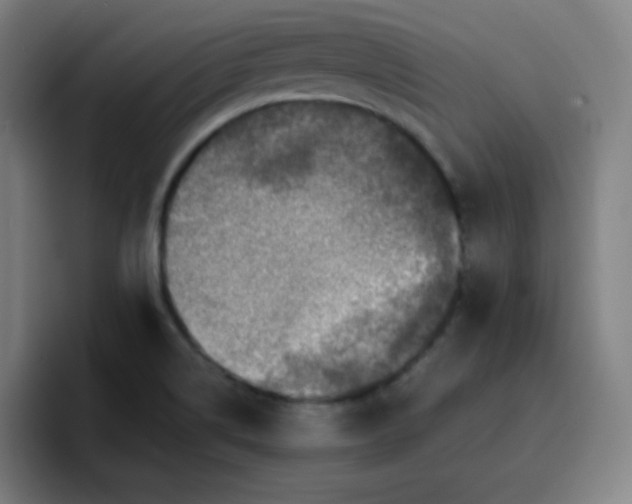 X0000096731514200802191538