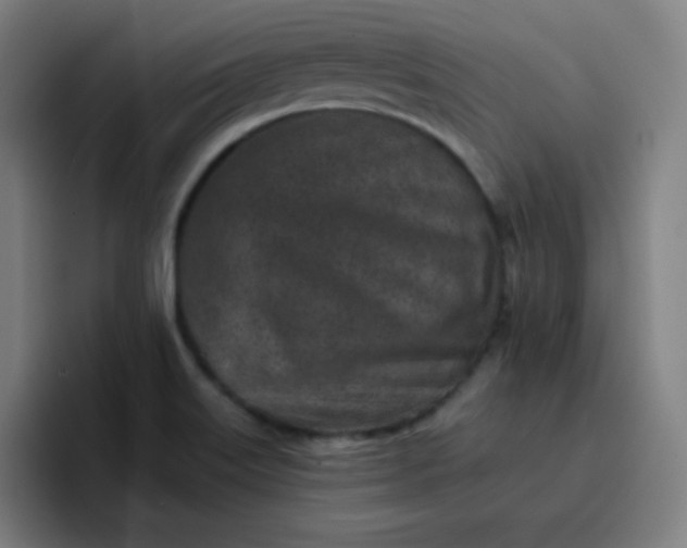 X0000096731515200802191538