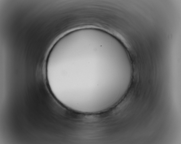 X0000096731516200802191538