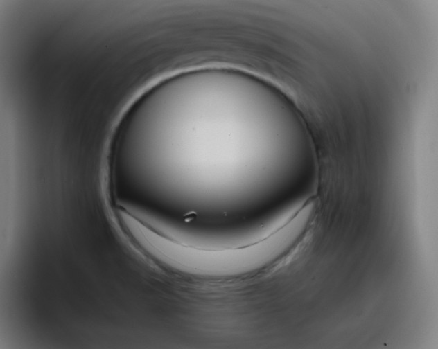 X0000096731518200802191538