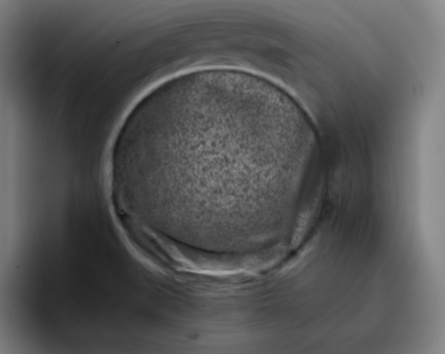 X0000096731519200802191538