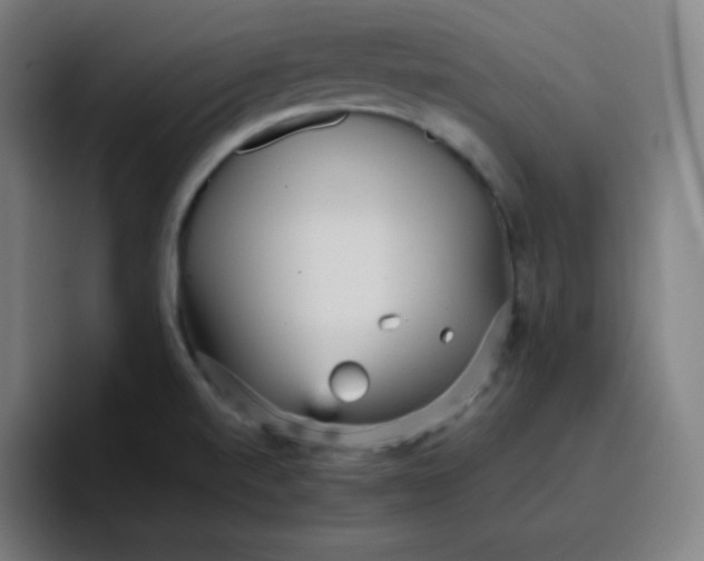 X0000096731520200802191538