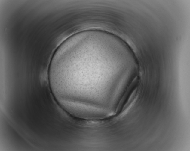 X0000096731521200802191538