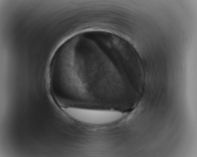 X0000096731522200802191538