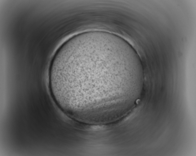 X0000096731523200802191538