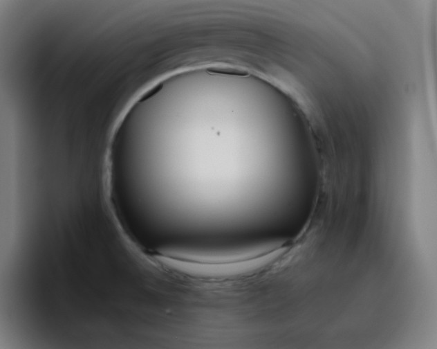 X0000096731524200802191538