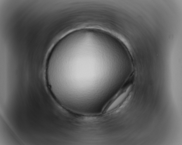 X0000096731525200802191538