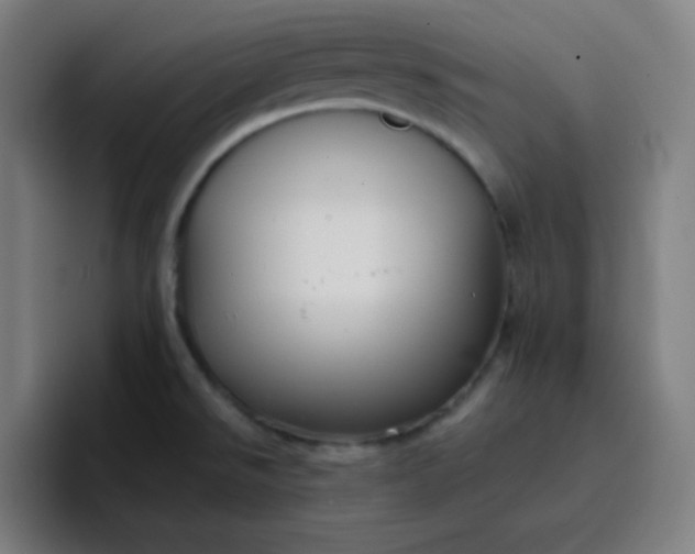 X0000096731526200802191538