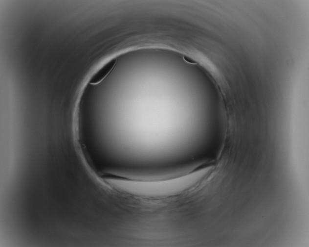X0000096731528200802191538
