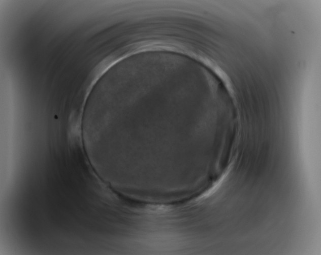 X0000096731529200802191538