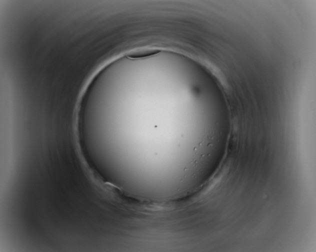 X0000096731530200802191538