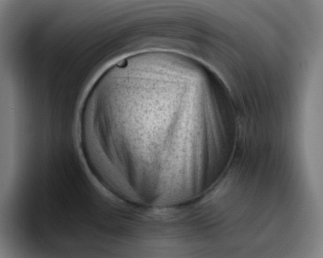 X0000096731531200802191538