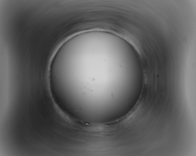 X0000096731532200802191538