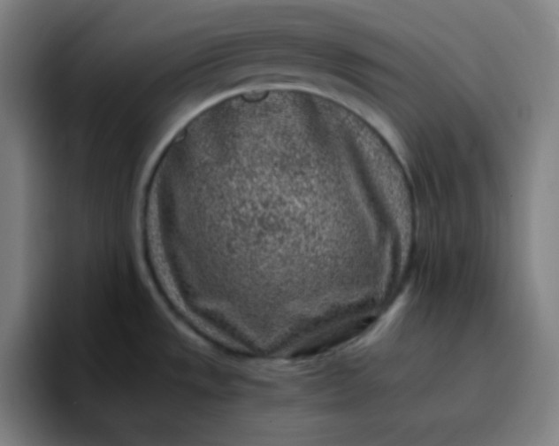 X0000096731533200802191538