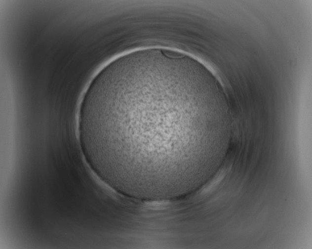 X0000096731535200802191538