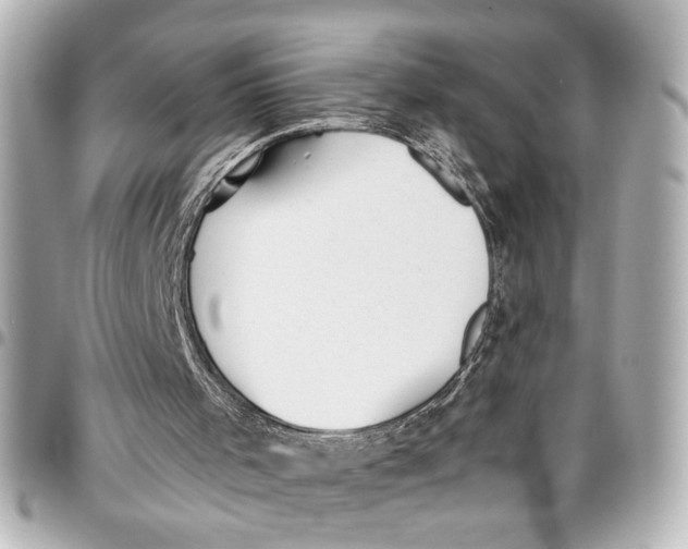 X0000096730001200802261504