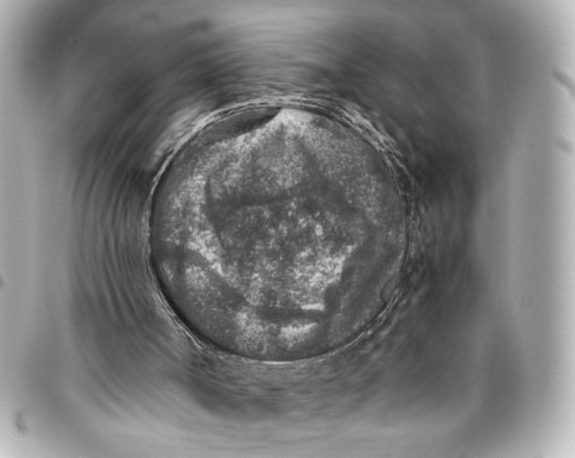 X0000096730002200802261504
