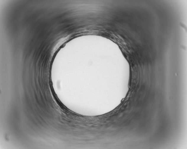 X0000096730003200802261504