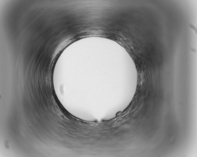 X0000096730004200802261504