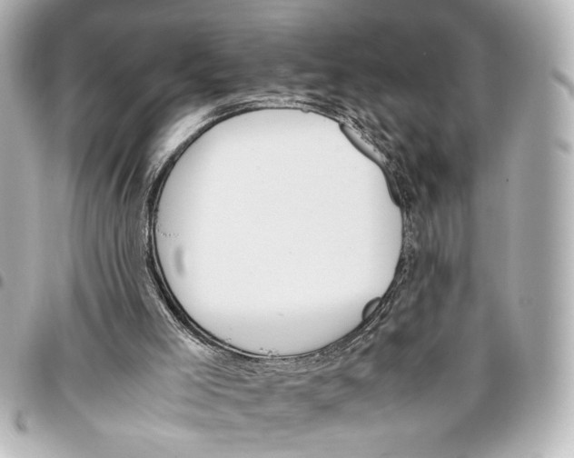 X0000096730005200802261504