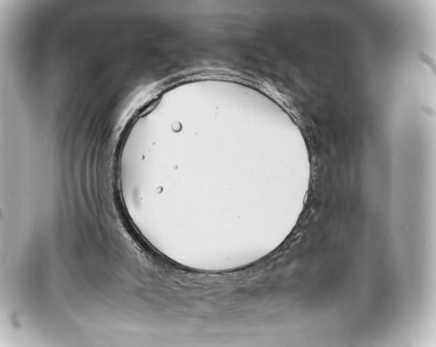 X0000096730007200802261504