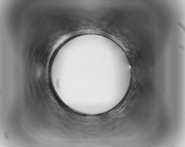 X0000096730008200802261504