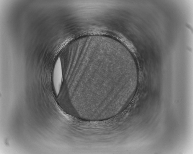 X0000096730009200802261504
