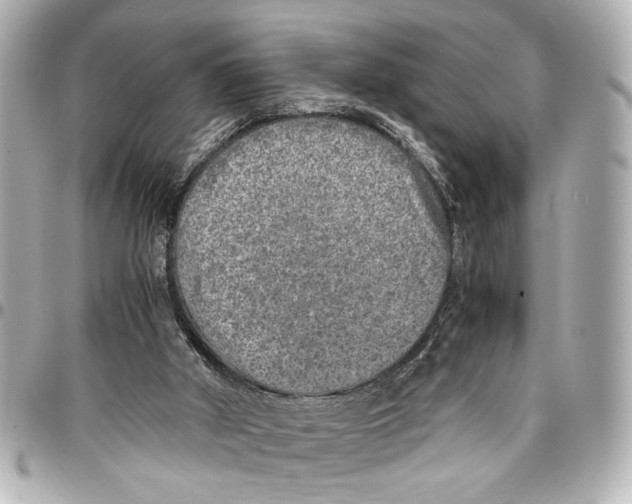 X0000096730010200802261504