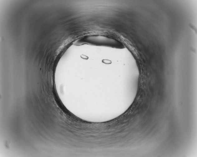 X0000096730011200802261504