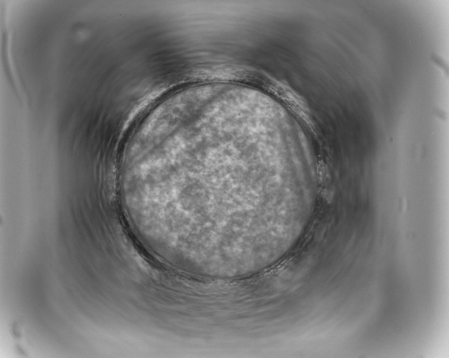 X0000096730012200802261504
