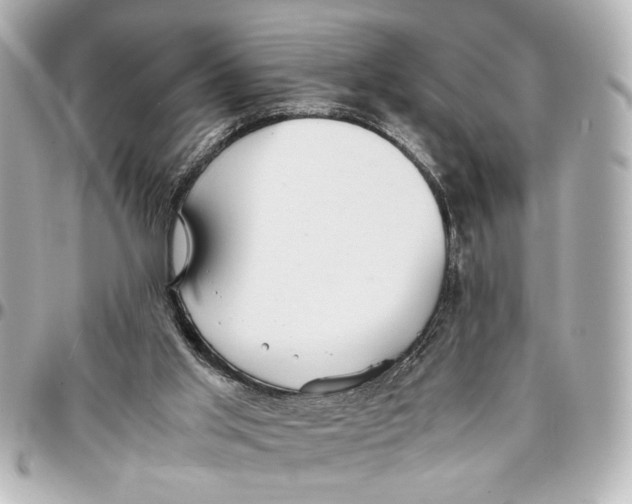 X0000096730013200802261504