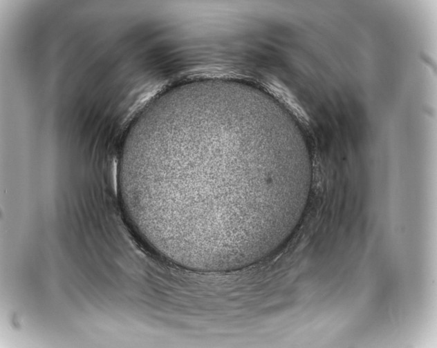 X0000096730014200802261504